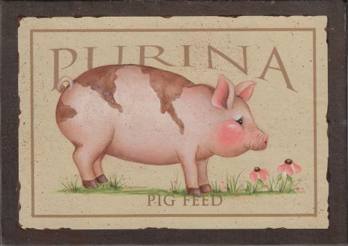 Purina Pig